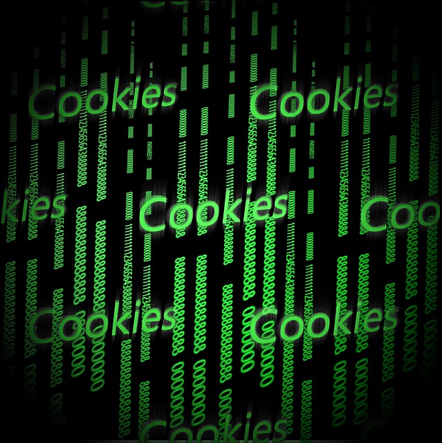 Política de Cookies VYCUS NORTE S.L.